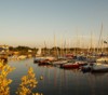 Watersport in Saksen